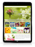 responsive web design flower #00016